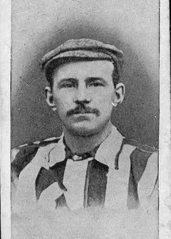 Soccer Cards